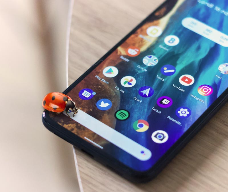Foto eines Marienkäfers auf einem Smartphone, das veranschaulicht, dass Android-Geräte Virenschutz benötigen.