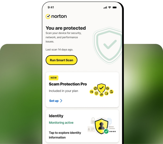 Norton 360-Abonnements